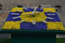 Flower Clock In The Center Of Lviv