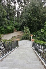  Napoli - Scorcio del parco dalla scalinata di accesso di Villa Floridiana