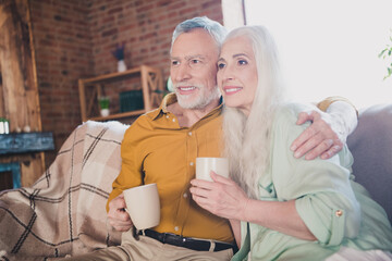 Canvas Print - Photo of happy retired grey haired pensioner smile watch tv drink tea embrace indoors inside house home