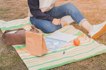 Poster - Student studying during the picnic in the park