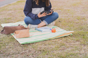 Wall Mural - Student studying during the picnic in the park