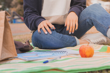 Wall Mural - Student studying during the picnic in the park