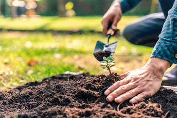 two young men are planting a tree to preserve the environment, plant tree concept to reduce global warming, eco concept green world, nature, environment, and ecology