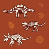 Fototapeta Dinusie - Dinosaur Skeletons and Other Fossils Vector isolated Decorative Elements Set
