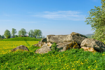 Sticker - Passage grave in a rural summer landscape