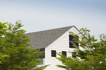 Wall Mural - Roof shingles on top of the wooden house among a lot of trees. dark asphalt tiles on the roof background.