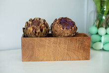 Minimalist Composition Of Dried Artichoke Flowers In Wooden Box As Home Decoration. Close Up Large Brown Artichoke Flowers In Vase. Modern Style Flowers Arrangement In Home. Decor Of Dry Flowers Home