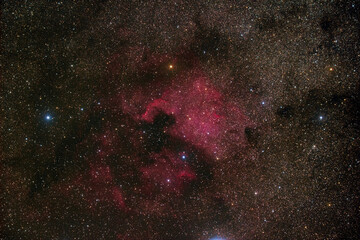Wall Mural - the north america nebula (ngc 7000 or caldwell 20) is an emission nebula in the constellation of cyg