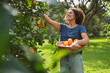 © steve brookland/Westend61 - Smiling woman picking oranges from tree in garden