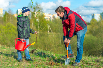 Father and son schoolboy in spring plant a tree shoot in the park concept family, help, care