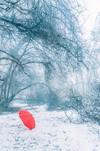 Red Umbrella On Snow Covered Land In Forest