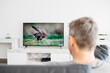 © Josep Rovirosa/Westend61 - Mature man watching television in living room