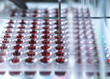 © Andrew Brookes/Westend61 - Red blood samples held in multi well plate ready for testing in lab