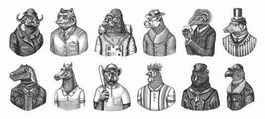 Gorilla monkey astronaut. Eagle aviator pilot Rooster Dinosaur Pig Tiger Bear Sheep Buffalo Bull Horse Cheetah. Dog bulldog baseball tennis player. Fashion animal character. Hand drawn vintage sketch.