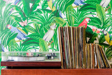 Record Player And Collection Of Records Against Wallpaper In Jungle And Parrots Pattern