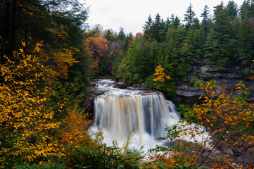Canvas Print - Blackwater Falls - Long Exposure Waterfall on Blackwater River in Autumn - Blackwater Falls State Park - Appalachian Mountains - West Virginia