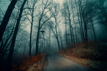 Sticker - Autumn gloomy forest on foggy morning an road. Gloomy misty country road in autumn forest.