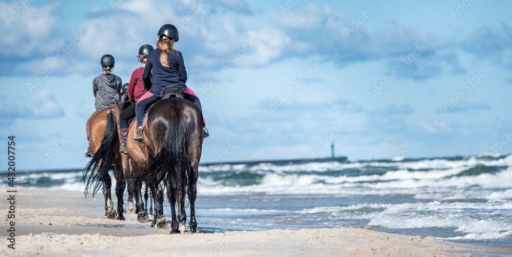 Jazda konna po plaży. Obóz jeździecki - obrazy, fototapety, plakaty 