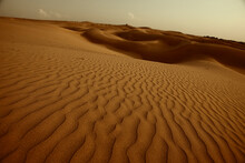 The Sam Sand Dunes Just Before Sunset In Sam, Rajasthan, India