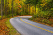 © Tandem Stock - Vibrant fall foliage lines the road along the Little River, Smoky Mountains.