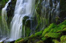 Lower Proxy Falls, Oregon, USA.