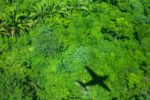 An Aerial View Of The Shadow Of A Plane On Tropical Rainforest Trees In Belize.