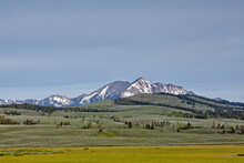 hills and mountain in Yellowstone national park