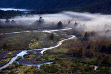 Fog Drifts Over The Paso De Las Nubes In Nahuel Haupi National Park In Patagonia, Argentina.