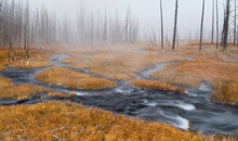 A Braided Stream Flows Toward A Burned Forest In Yellowstone National Park, Wyoming