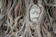 © Tandem Stock - Buddha statue head surrounded by tree roots. Wat Phra Mahathat temple. Ayutthaya (former capital of Siam). Ayutthaya Province. Thailand.