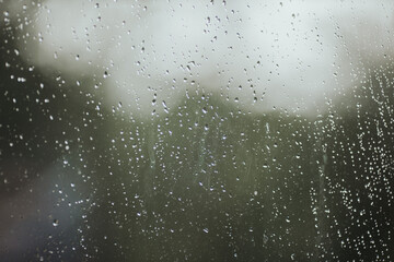 Wall Mural - Closeup shot of water droplets on the glass