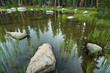 © Tandem Stock - Pond Scene, Yosemite National Park
