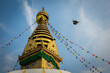 A pigeon flies near the ancient religious complex in Nepal named Swayambhunath, also known as the Monkey Temple.