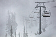 A Lone Skier Emerges Out Of The Snow Storm As Mt Baker Closes Its Lifts