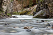 © Tandem Stock - pebble creek flowing in Yellowstone national park, Wyoming