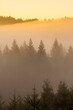 © Tandem Stock - The sun rises on a foggy morning in the Oregon Cascades.