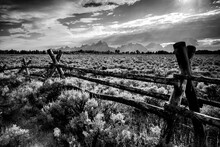 A Black And White Rendition Of A Popular Hand-built Fence. Grand Teton National Park, WY