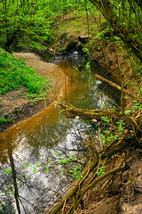 Wall Mural - Water flowing from a metal pipe into the river.