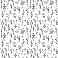 Wall Mural - Wildflower seamless pattern with outline florals. Retro style print design with hand drawn doodle flowers in black and white colors. Simple field floral patterns for packaging, fabric design.