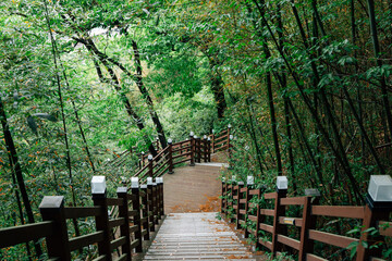 Sticker - Jukdobong Park green forest in Suncheon, Korea