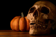 Still Life Of Human Skull And Pumpkin On Wood Against Dark Background.