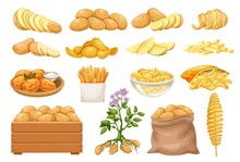 Potato Products Icons Set. Chips, Pancakes, French Fries, Whole Root Potatoes In Cartoon Realistic Style. Vector Illustration Of Harvest Vegetables.