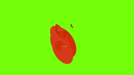 Poster - red button shirt icon animation cartoon object on green screen background