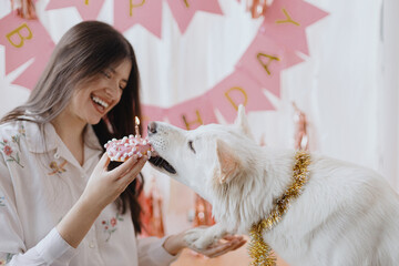 Wall Mural - Dog birthday party. Cute dog biting birthday donut with candle on background of pink decorations