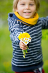 Wall Mural - Beautiful toddler blond child, cute boy, lying in the grass in daisy and dandelions filed