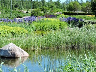 Poster - pond with flowers, Kotka, Finland