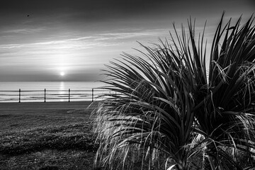 Poster - Seaton Carew, Hartlepool