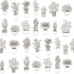 Wall Mural - home plants hand drawn vector illustrations set