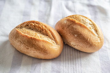 macro photography of buns on a light background