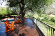 Sabi Sabi private game reserve pool and deck chairs at main lodge